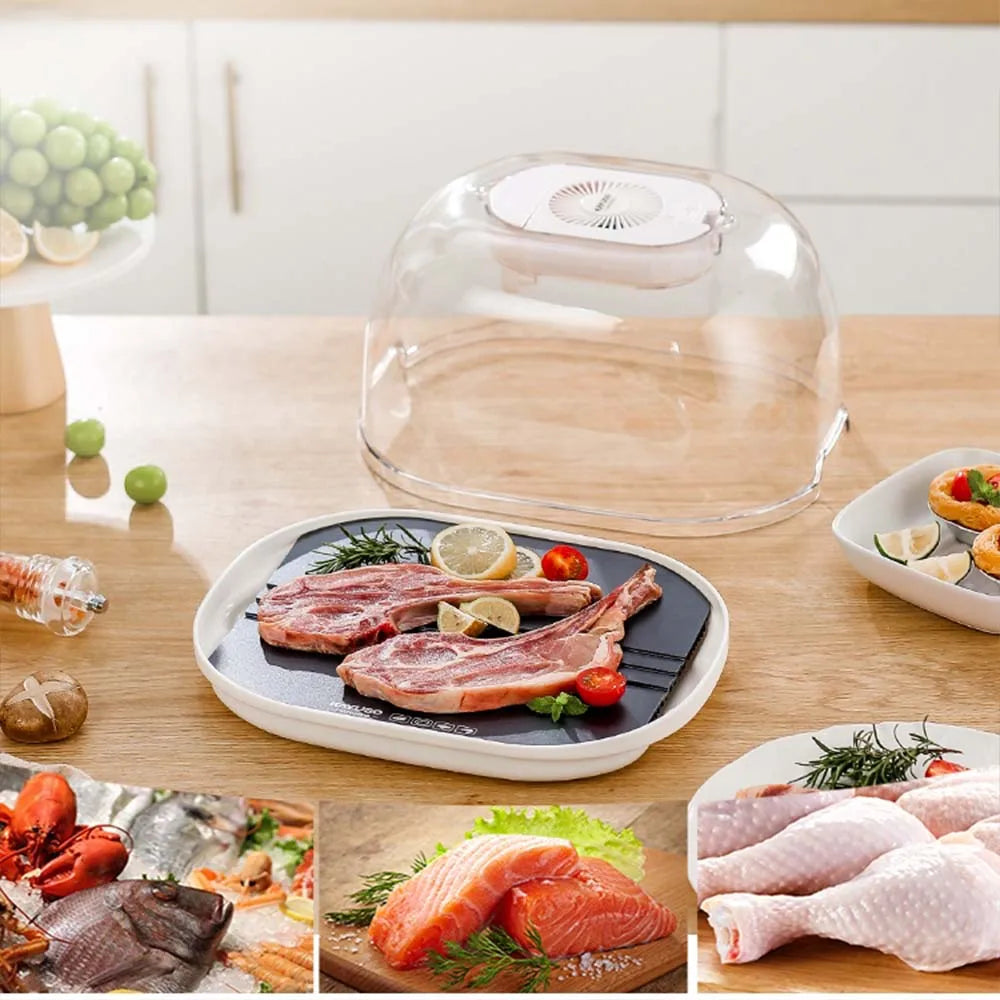 Kitchen Food Thaw Machine Multifunctional Defroster Household Convenient Fast Steak Meat Unfreeze Machine