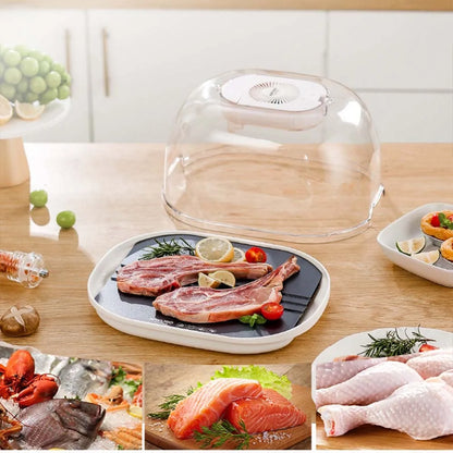 Kitchen Food Thaw Machine Multifunctional Defroster Household Convenient Fast Steak Meat Unfreeze Machine