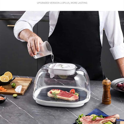 Kitchen Food Thaw Machine Multifunctional Defroster Household Convenient Fast Steak Meat Unfreeze Machine